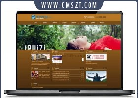 棕色通用型公司织梦CMS企