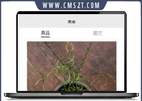 高仿果库淘宝客小程序模板