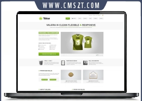 HTML5响应式科技软件服务企业模