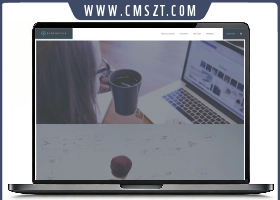HTML5/CSS3响应式Synthetica团队