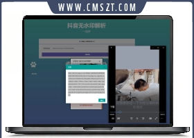 抖音短视频在线去水印解析下载PH