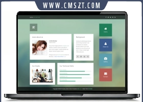 Rectangle仿flash交互漂亮个人简