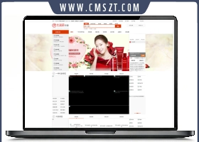 B2B化妆品中国大型门户网页模板