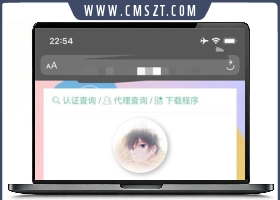 SF陌上花开授权系统源码V2.0