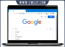 Any-Proxy在线反向代理源码