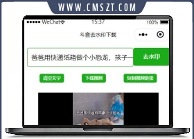 抖音无水印视频下载小程序源码,