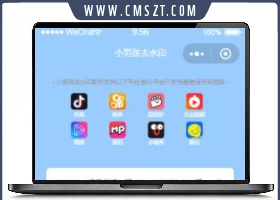 抖音短视频去水印小程序源码