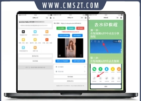 多平台短视频芒果去水印小程序源