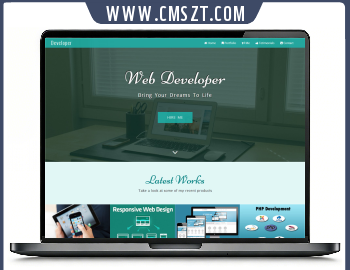 HTML个人团队工作室作品展示网站模板