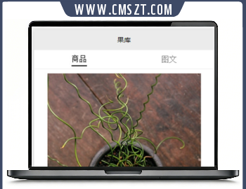 高仿果库淘宝客小程序模板