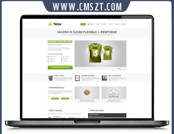 HTML5响应式科技软件服务企业模板