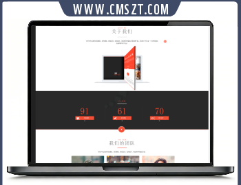 织梦CMS互联网团队服务介绍网站模板