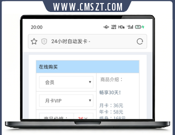 简洁小巧的24小时自动发卡平台源码