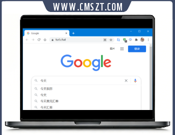 Any-Proxy在线反向代理源码