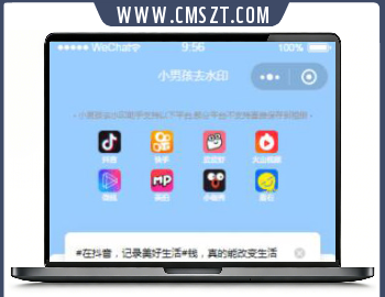 抖音短视频去水印小程序源码