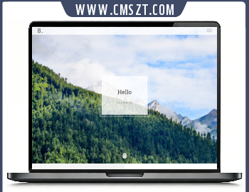 HTML5响应式黑白灰单页个人简历模板