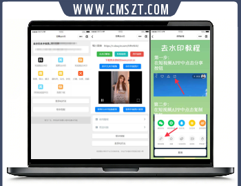 多平台短视频芒果去水印小程序源码下载